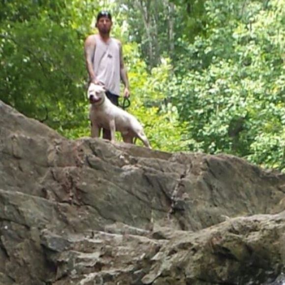 Meet your Posher, Dave - Picture 1 of 1